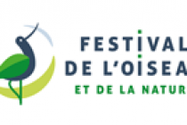 bird-and-nature-festival-in-abbeville