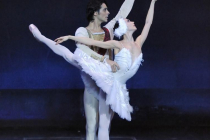 swan-lake-by-the-bordeaux-national-opera