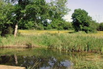 regional-nature-reserve-of-the-marsh-bonnefont