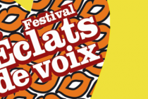 shards-voices-festival-2014