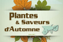 plants-and-flavours-of-autumn