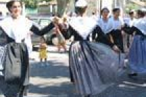 workshop-traditional-dances