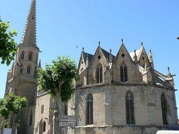 discover-the-country-of-mirepoix