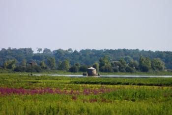 discover-the-countryside
