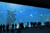 aquarium-nausicaa boulogne-sur-mer