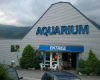 aquarium-tropical-de-pierrefitte pierrefitte-nestalas