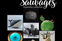 terres-sauvages-expo-in-salernes