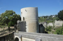fort-du-coudray chinon