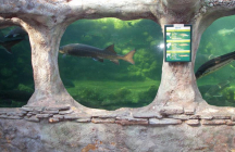 parc-aquarium-du-perigord-noir le-bugue