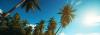 ternelia-residence-tropicale-le-moule le-moule