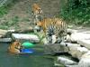 parc-zoologique-et-botanique-de-mulhouse mulhouse
