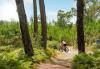 visiter-hossegor-a-velo-les-plus-lieux-incontournables soorts-hossegor