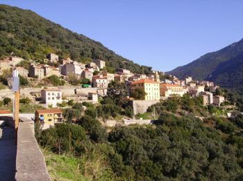 discover-the-city-of-olmeto