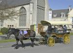 horse-drawn-carriage-trip-around-town