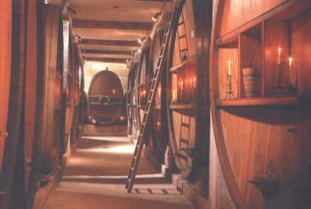 wine-tasting-and-cellar-touring