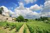 touring-the-wine-producing-and-gastronomic-village