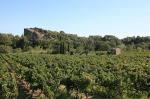 the-vineyards-of-beaumes-de-venise