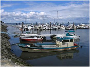 discover-oyster-farms-and-marinas