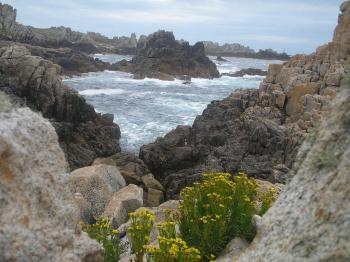 discover-the-ouessant-isle