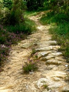 the-vieilles-pierres-path