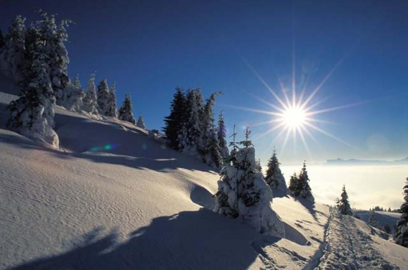 discover-the-protected-natural-environment-of-chamrousse