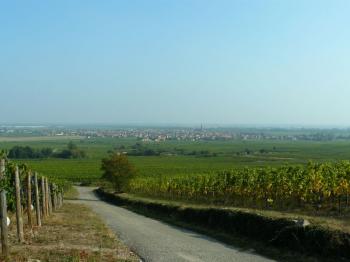 scherwiller-a-city-on-the-wine-road