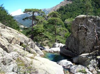 discover-towns-of-the-corsican-center