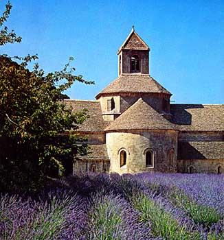 the-senanque-abbey