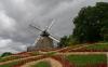 the-wind-mill-of-lautrec