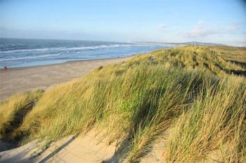 stroll-to-the-north-of-the-touquet-beach