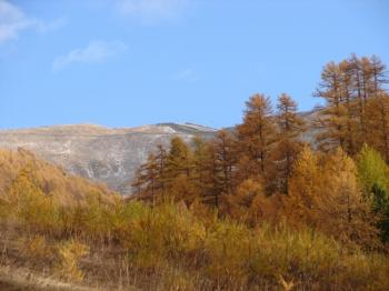 fall-colors-in-les-orres