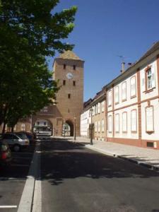discover-the-city-of-haguenau