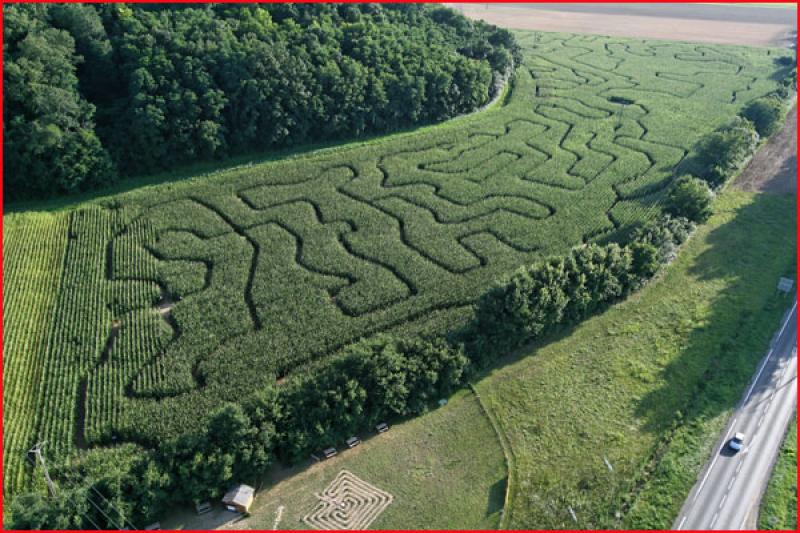 discover-vegetable-labyrinth