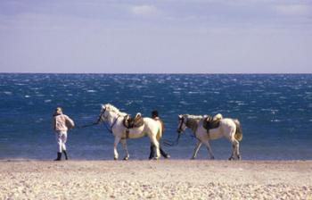 the-beauty-of-camargue