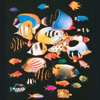 tropical-aquarium-of-pierrefitte-nestalas