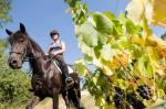 equestrian-excursions-in-poncin
