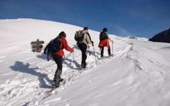 snowshoe-hike