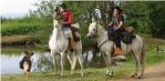 horse-riding-tours