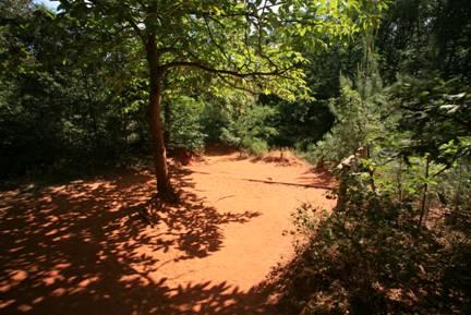 discover-the-flora-of-roussillon