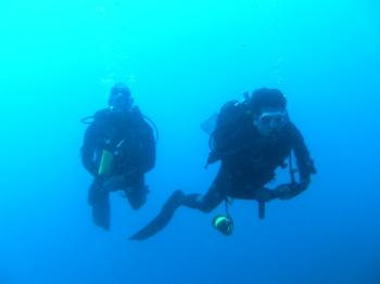 scuba-diving-day