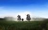day-camargue-herd-in-the-world-of-cowboys
