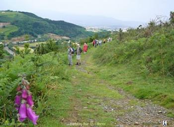 great-walks-from-the-adour-to-the-pyrenees